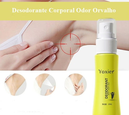 Desodorante Natural  Remove o Odor nas Axilas. - Lindas & Cia Shop